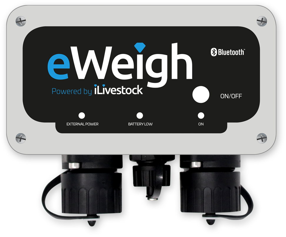 eWeigh Bluetooth weigh indicator