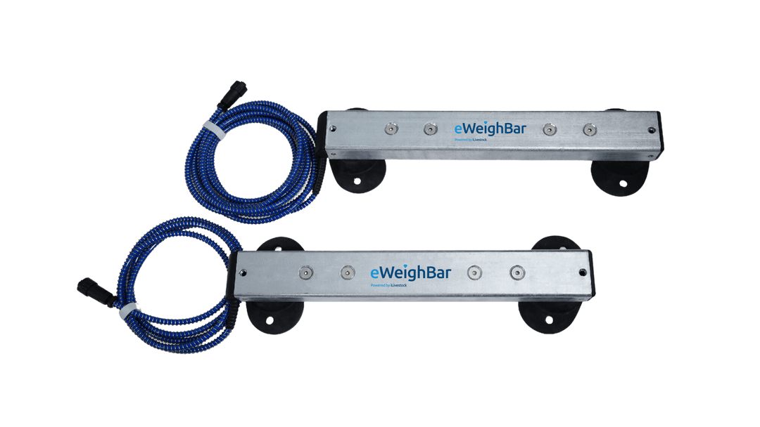 eWeighBar 800 portable weigh bars